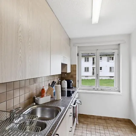 Urban Charm: Your Comfy Close To The Lejlighed Zürich